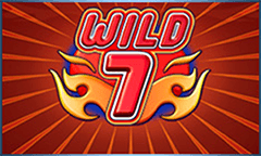 7 Wild Slots